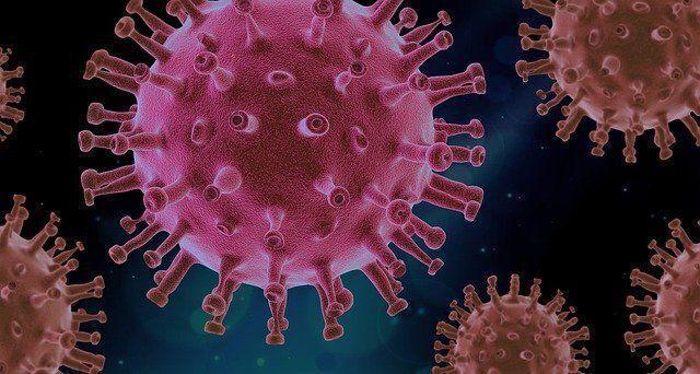 Watch now: Senators question Illinois public health officials on vaccine rollout – MDJOnline.com