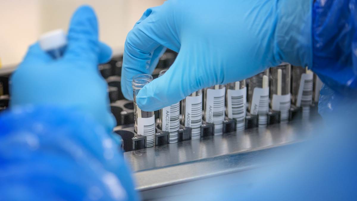 Illinois Coronavirus Updates: Testing Sites Closed Sunday, Positivity Rate Drops Below 3% – NBC Chicago