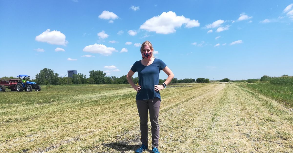 Toxic sites mapped to promote reuse on Chicagoโs Southeast Side, south suburbs – Chicago Sun-Times