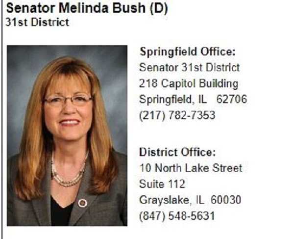 Illinois Senator wants to tax your carpet –