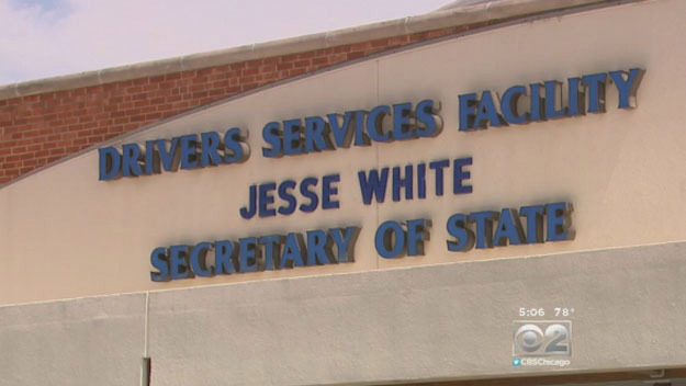 secretary-of-state-warns-of-scam-websites-charging-extra-fees-to-renew-license-plates-–-cbs-chicago