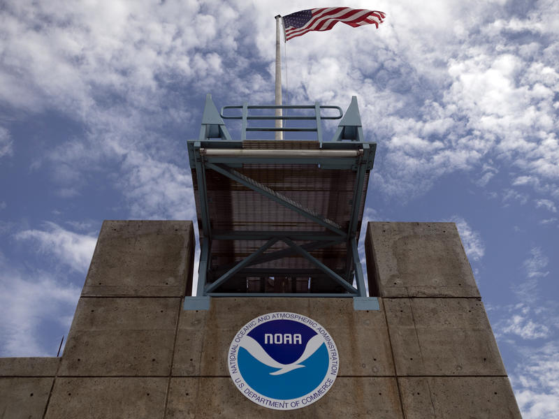 biden-taps-a-former-top-scientist-at-noaa-to-lead-the-weather-and-climate-agency-–-npr-illinois
