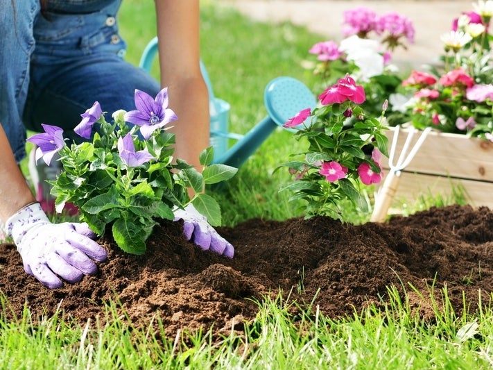 Homer Glen Accepting Nominations For Nature Awards – Homer Glen, IL Patch