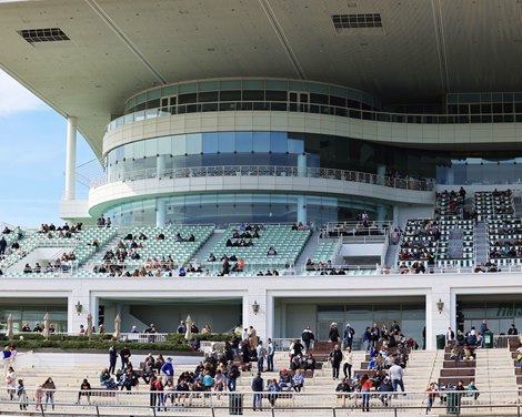 Can State Government Pressure on CDI Save Arlington? – BloodHorse.com