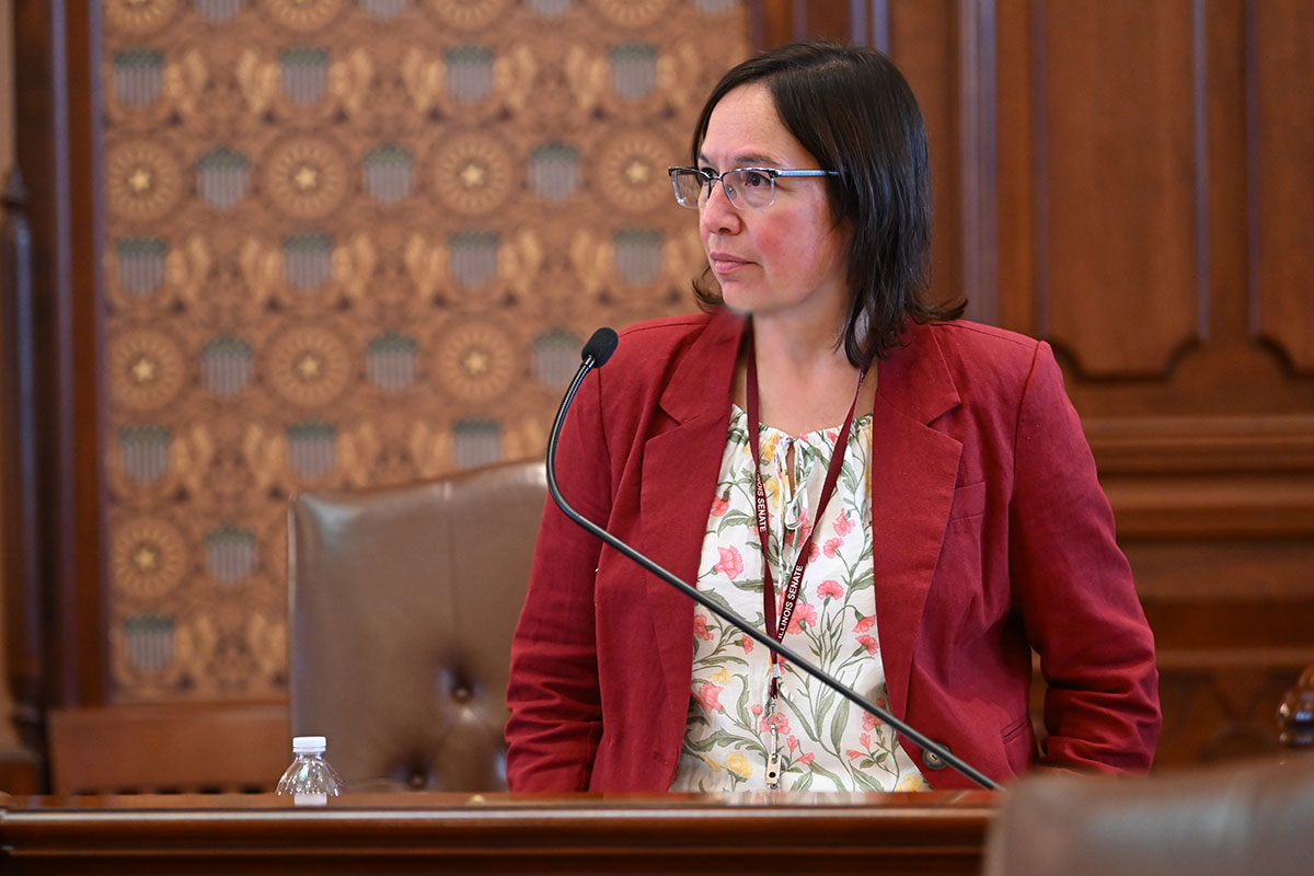 isdc-–-illinois-senate-democrats