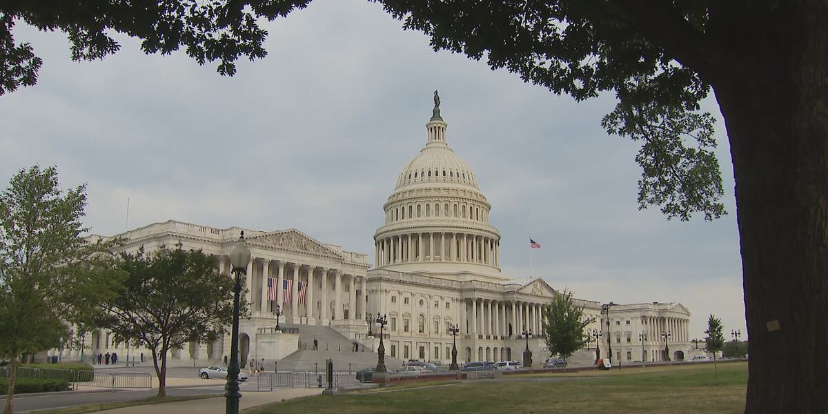 Illinois lawmakers weigh in as government shutdown looms – WIFR