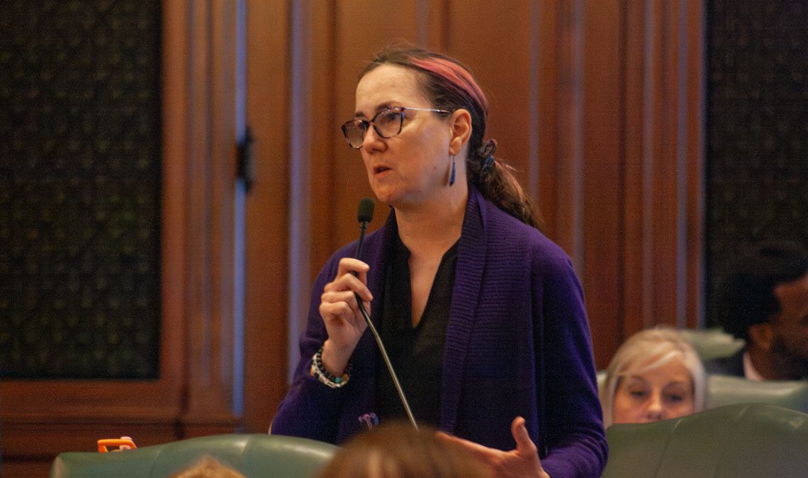 Bill creates gender-affirming, reproductive care protections for out-of-state foster placements – WJBC AM 1230