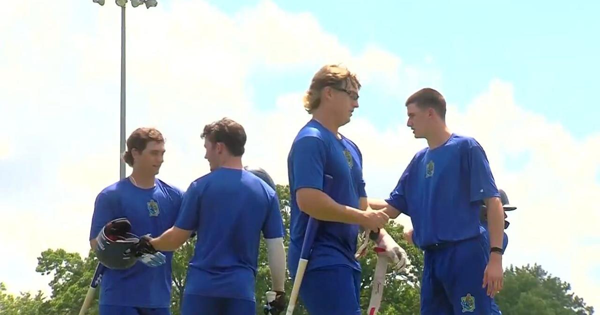 bean-ballers-bring-summer-baseball-fun-to-decatur-–-wandtv.com