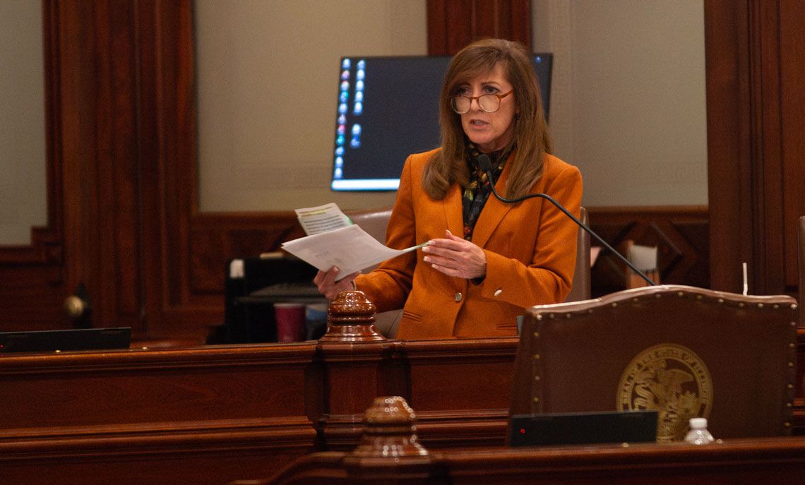 linda-holmes,-a-20-year-illinois-senate-democrat,-will-step-down-from-ballot-–-capitol-news-illinois
