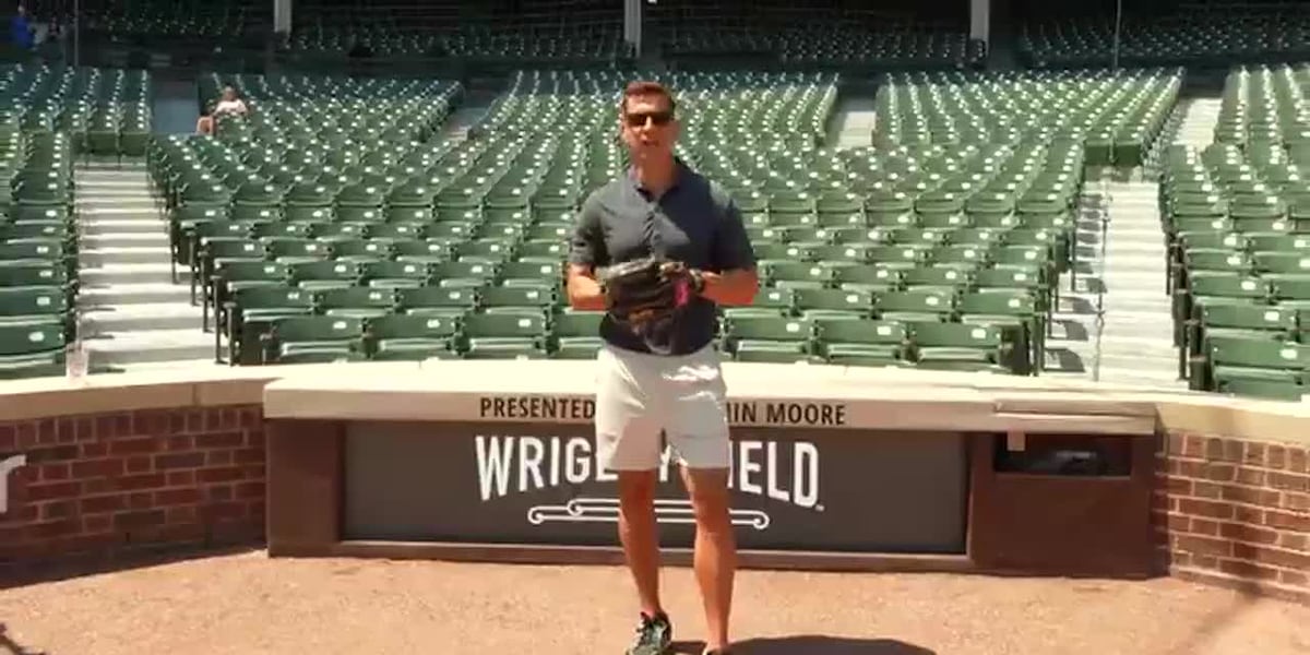 Cubs and Illinois government join to encourage summer reading for kids – WEEK | 25 News Now
